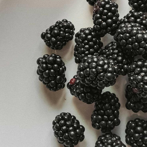 blackberry