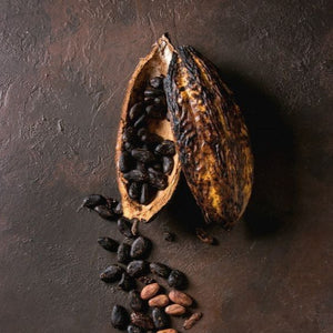 cacao pod