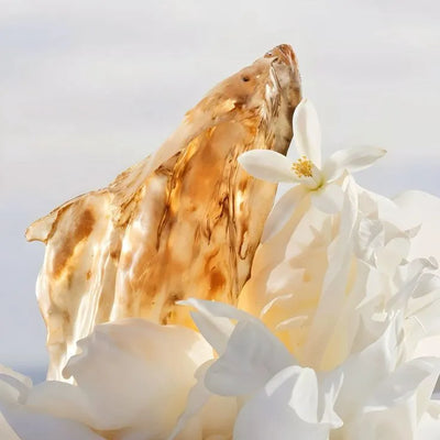 Ambergris